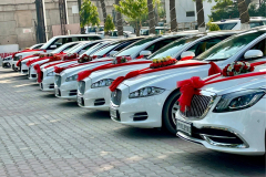 Luxury wedding car hire in Ludhiana